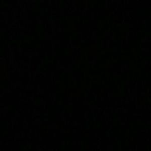 Meet your Posher, Brady